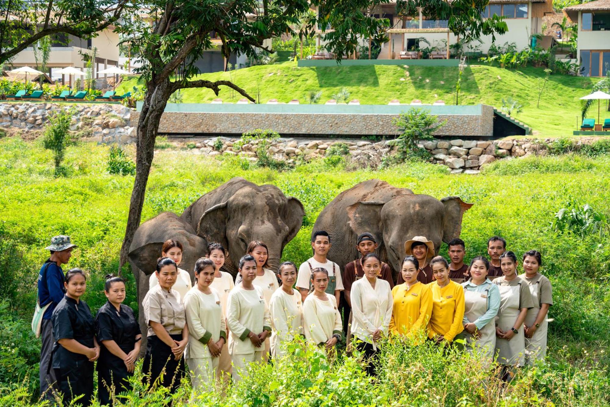 Wild Cottages Elephant Sanctuary Resort Amphoe Koksamui 외부 사진