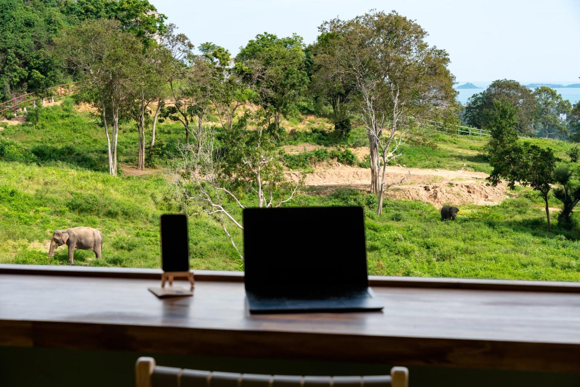 Wild Cottages Elephant Sanctuary Resort Amphoe Koksamui 외부 사진