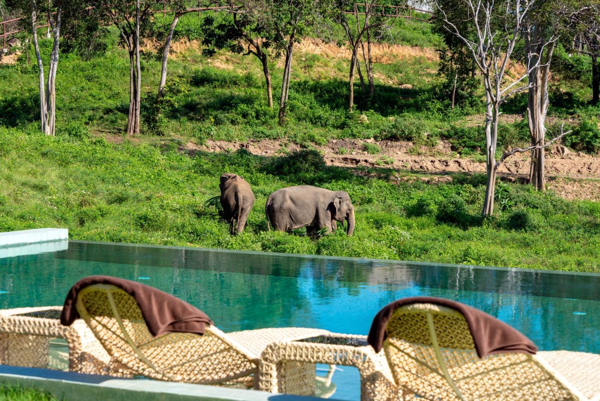 Wild Cottages Elephant Sanctuary Resort Amphoe Koksamui 외부 사진