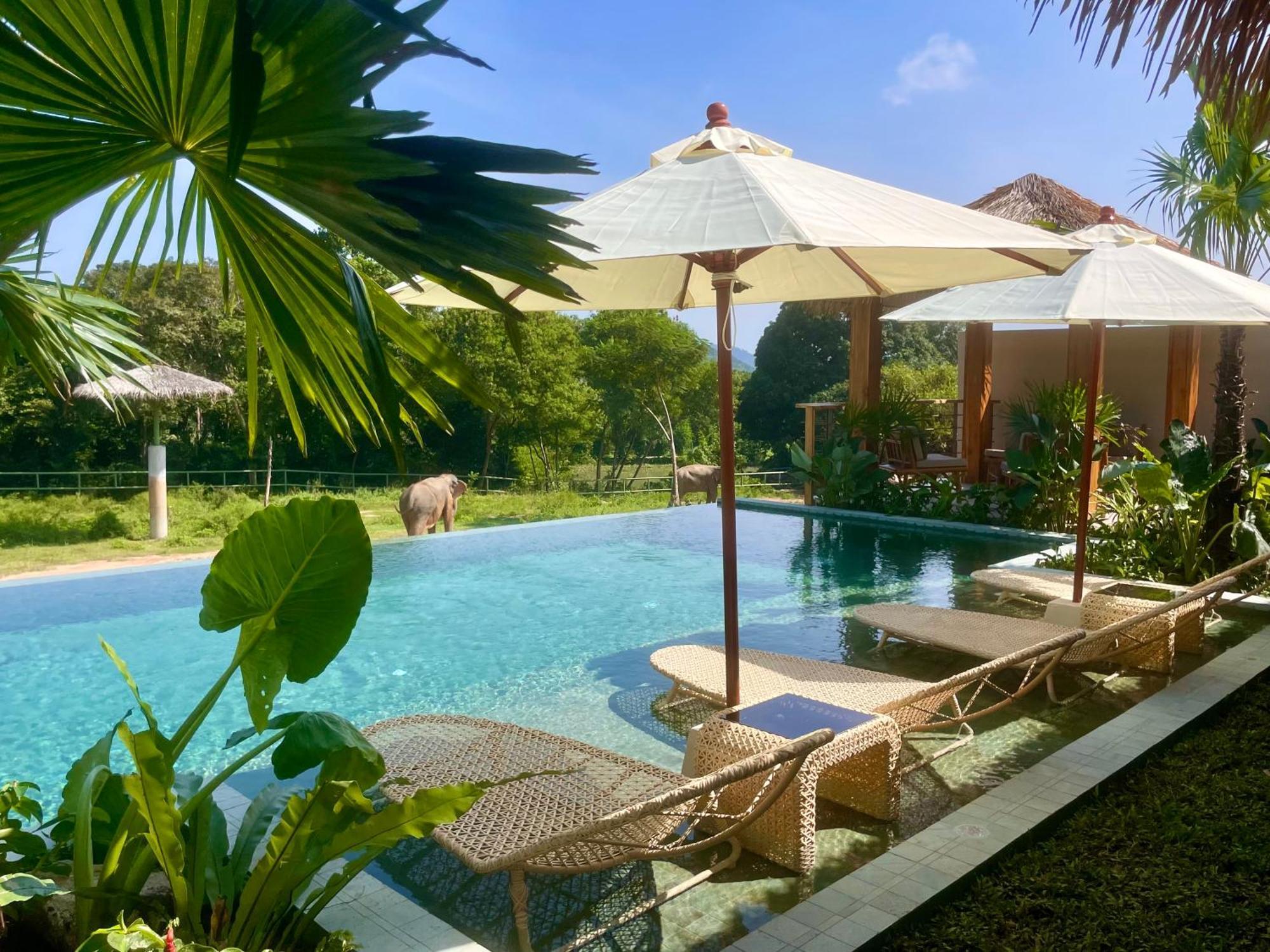 Wild Cottages Elephant Sanctuary Resort Amphoe Koksamui 외부 사진