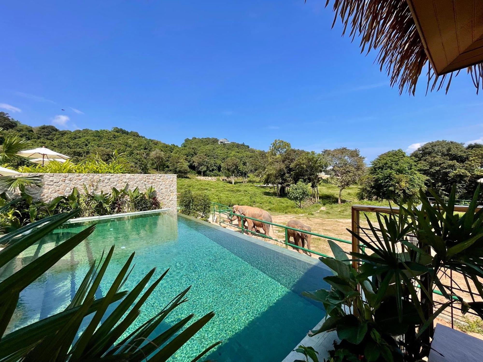 Wild Cottages Elephant Sanctuary Resort Amphoe Koksamui 외부 사진